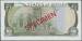 Spatele 1 Pound 1989 (ND)  - Specimen