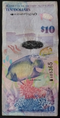 Image #2 of 10 Dollars 2009 (1. I.)