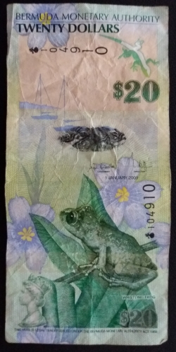 20 Dolari 2009 (1. I.)