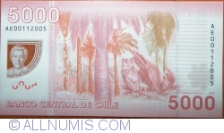 5000 Pesos 2012