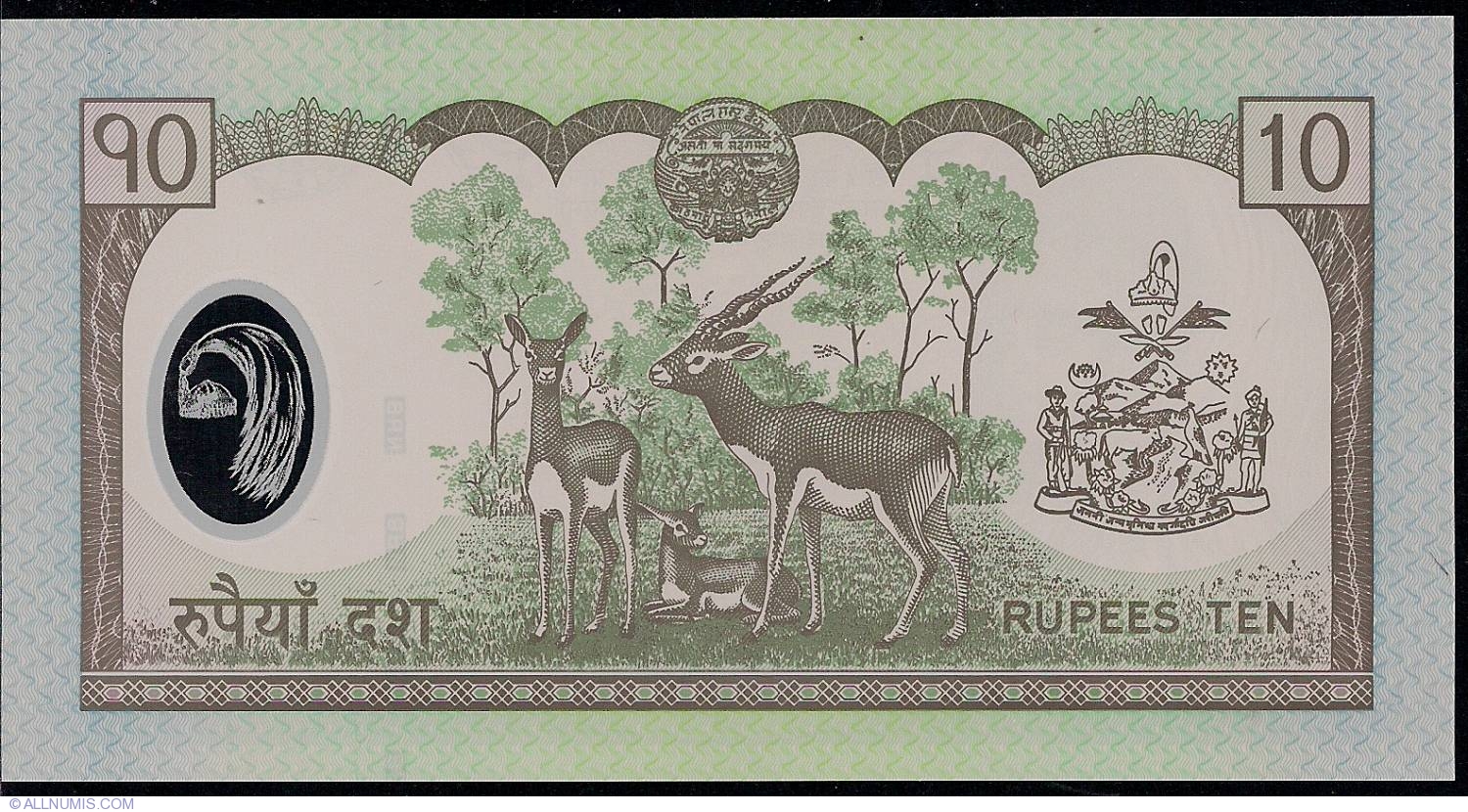 Nepal 10 Rupees ND 2005 Polymer P 54 UNC 