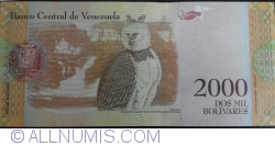 2000 Bolivares 2016 (18. VIII.) - 1