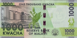 Image #2 of 1000 Kwacha 2013 (1. I.)