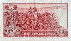 Image #2 of 1 Kwacha 1975 (31. I.) - Replacement note.
